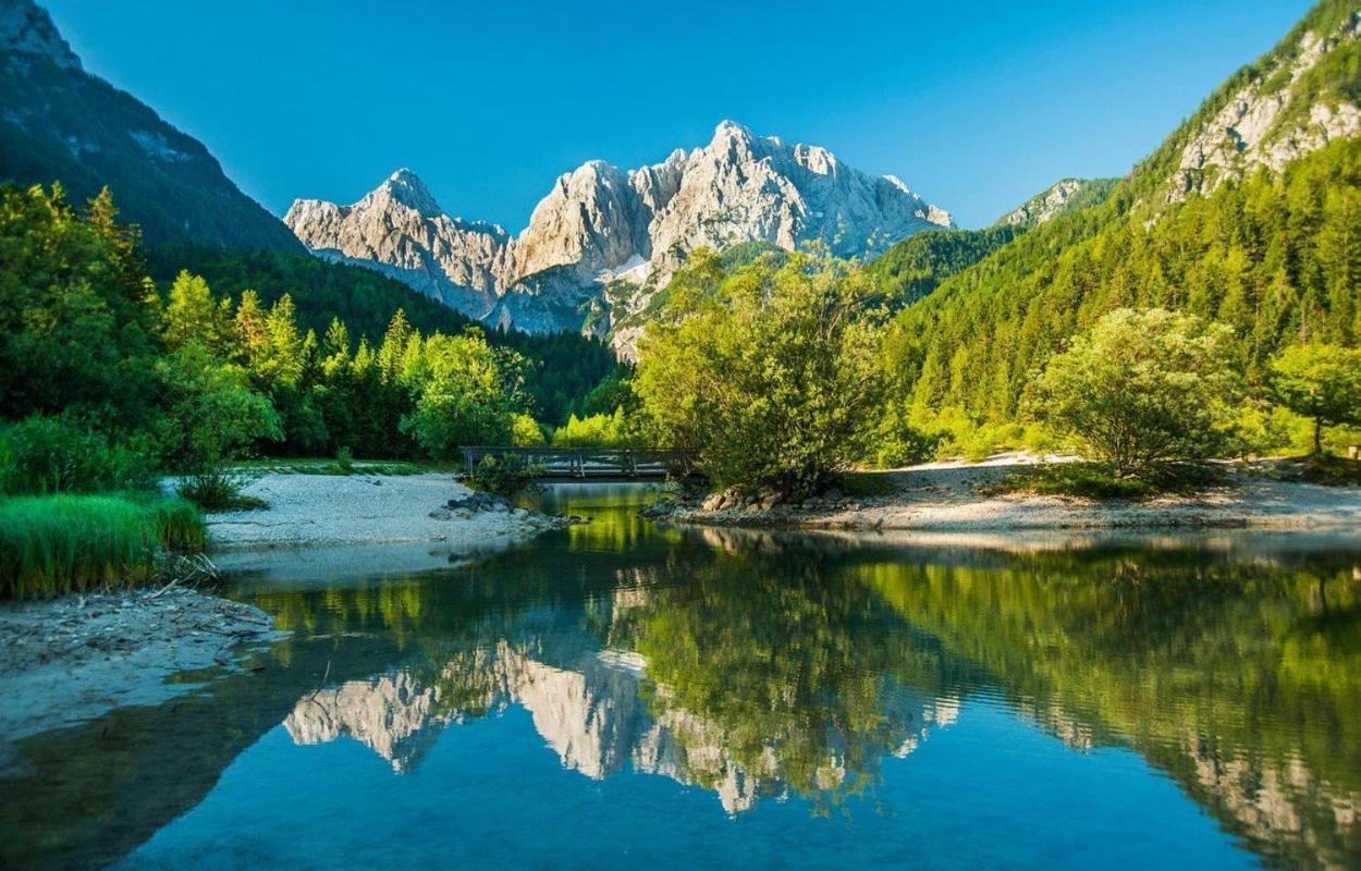 Bor In Bor Luxury Apartment With Sauna & Garden - Kranjska Gora Dış mekan fotoğraf